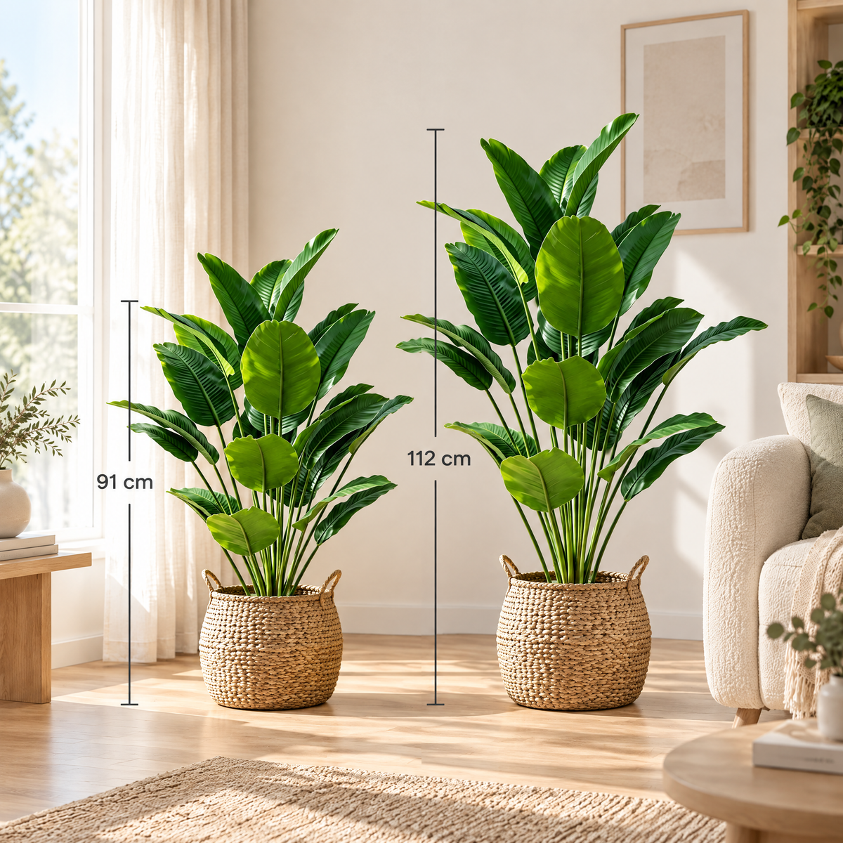 Bird of Paradise Rebeka size guide: 91 cm and 112 cm next to a sofa
