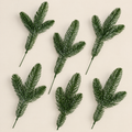Frosted Spruce Picks Félix – green spruce picks