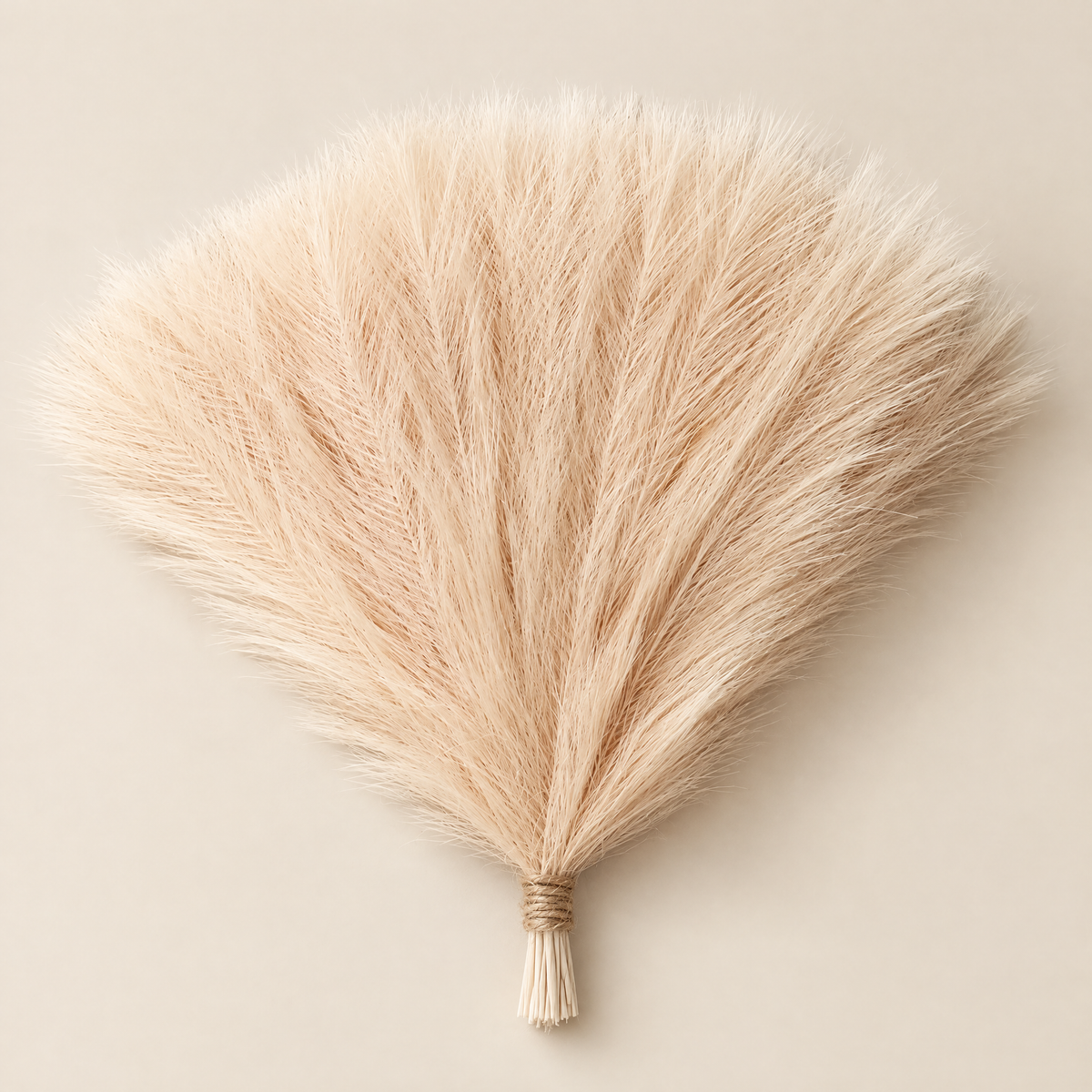 Pampas Grass Stems Valéria – blush pampas grass bunch