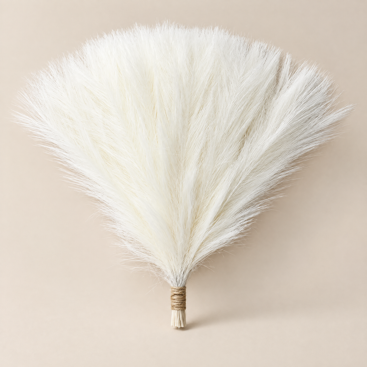 Pampas Grass Stems Valéria – white pampas grass bunch
