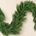 Garland Juliána – Norfolk pine garland, studio shot