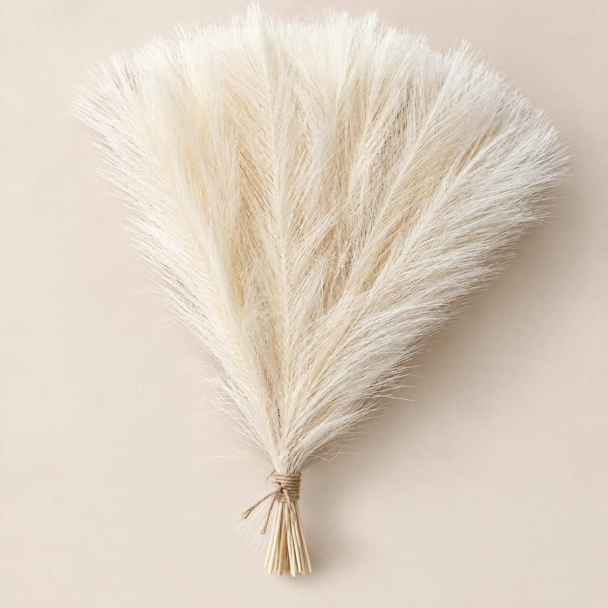 Pampas Grass Stems Valéria – beige pampas grass bunch