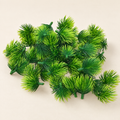 Pine Tufts Emil – studio shot on a soft oat backdrop