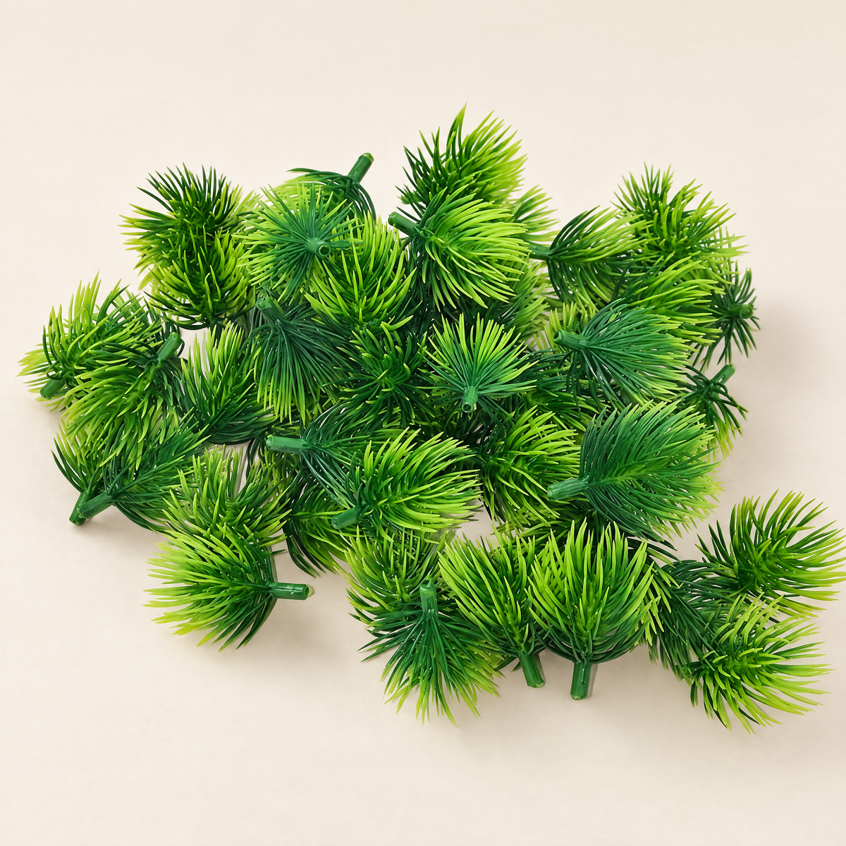 Pine Tufts Emil – studio shot on a soft oat backdrop