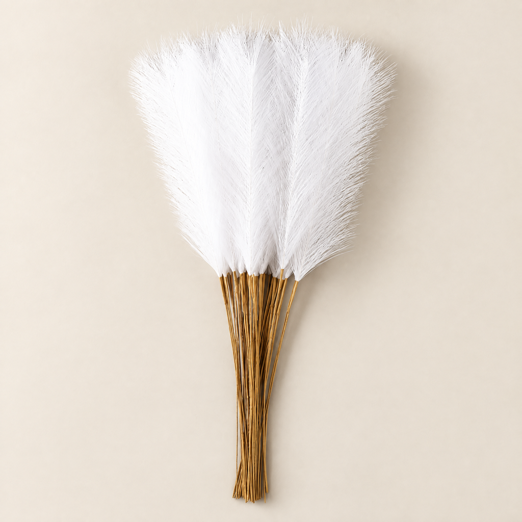 Pampas Grass Stems Vanesa – white pampas grass stems