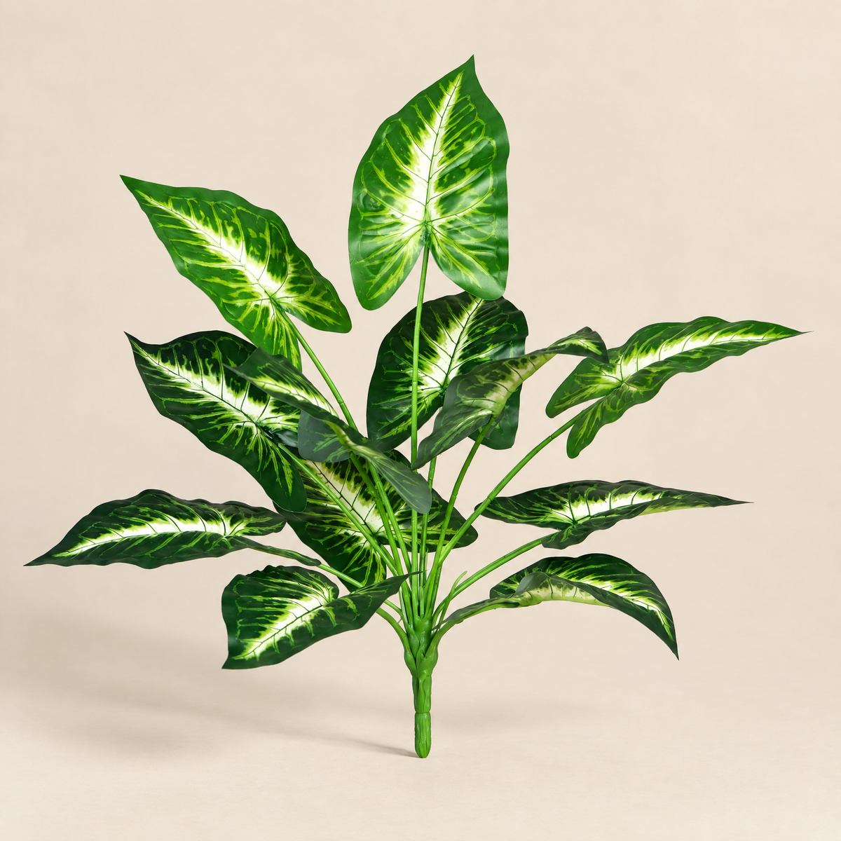 Leaf Plant Dominika – studio view