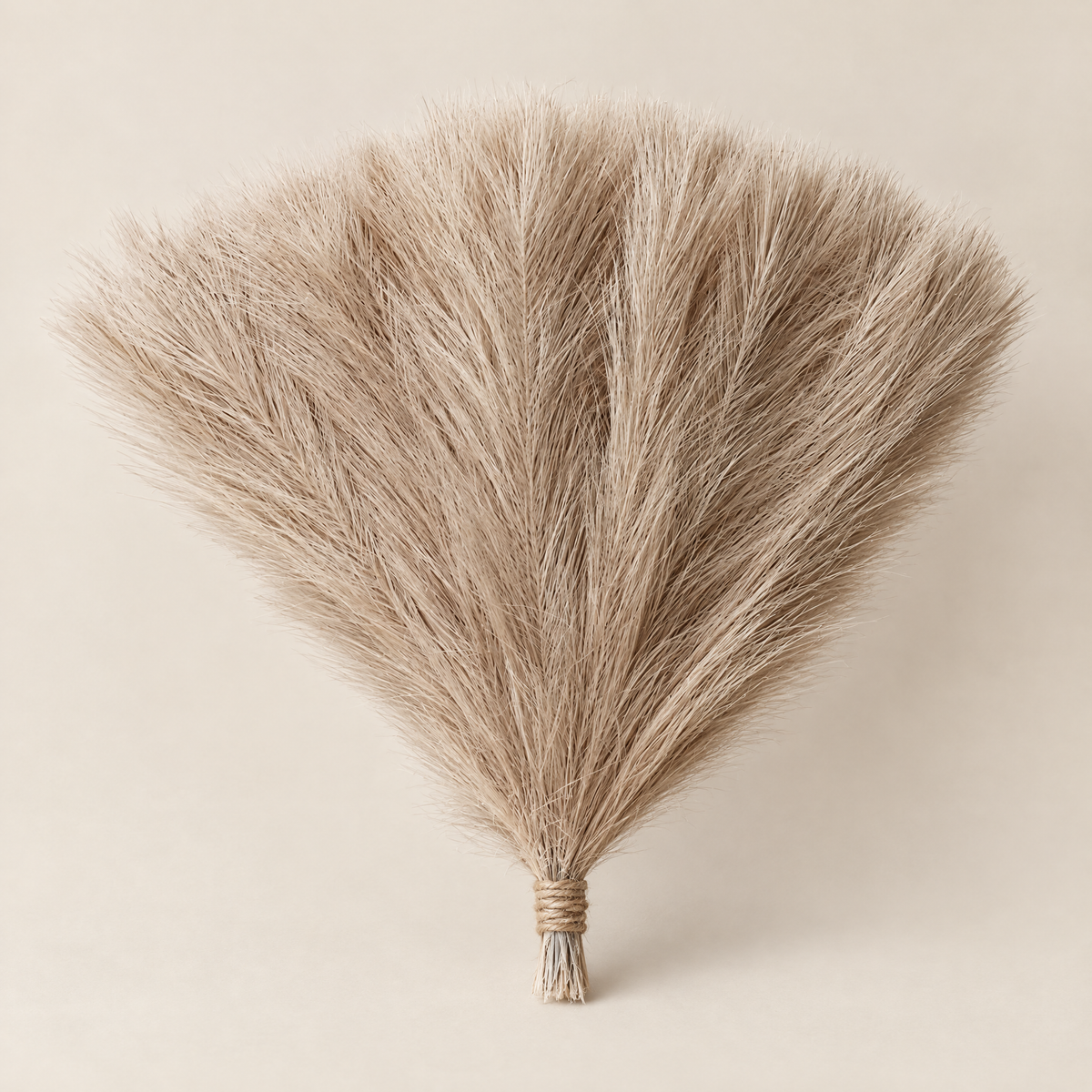 Pampas Grass Stems Valéria – taupe pampas grass bunch