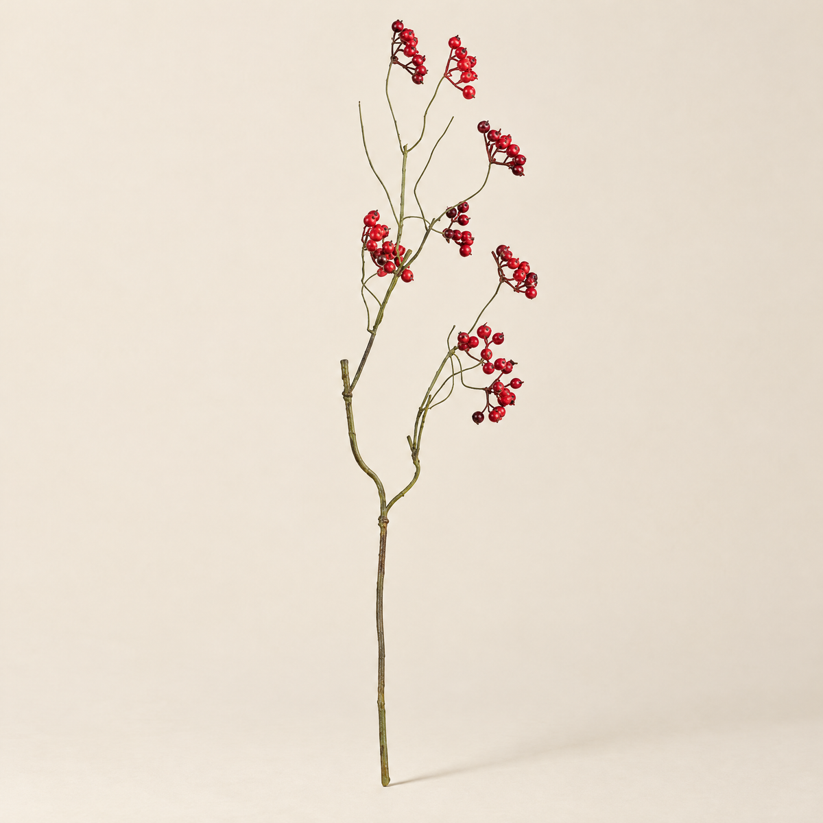 Berry Branch Kornélia – studio view