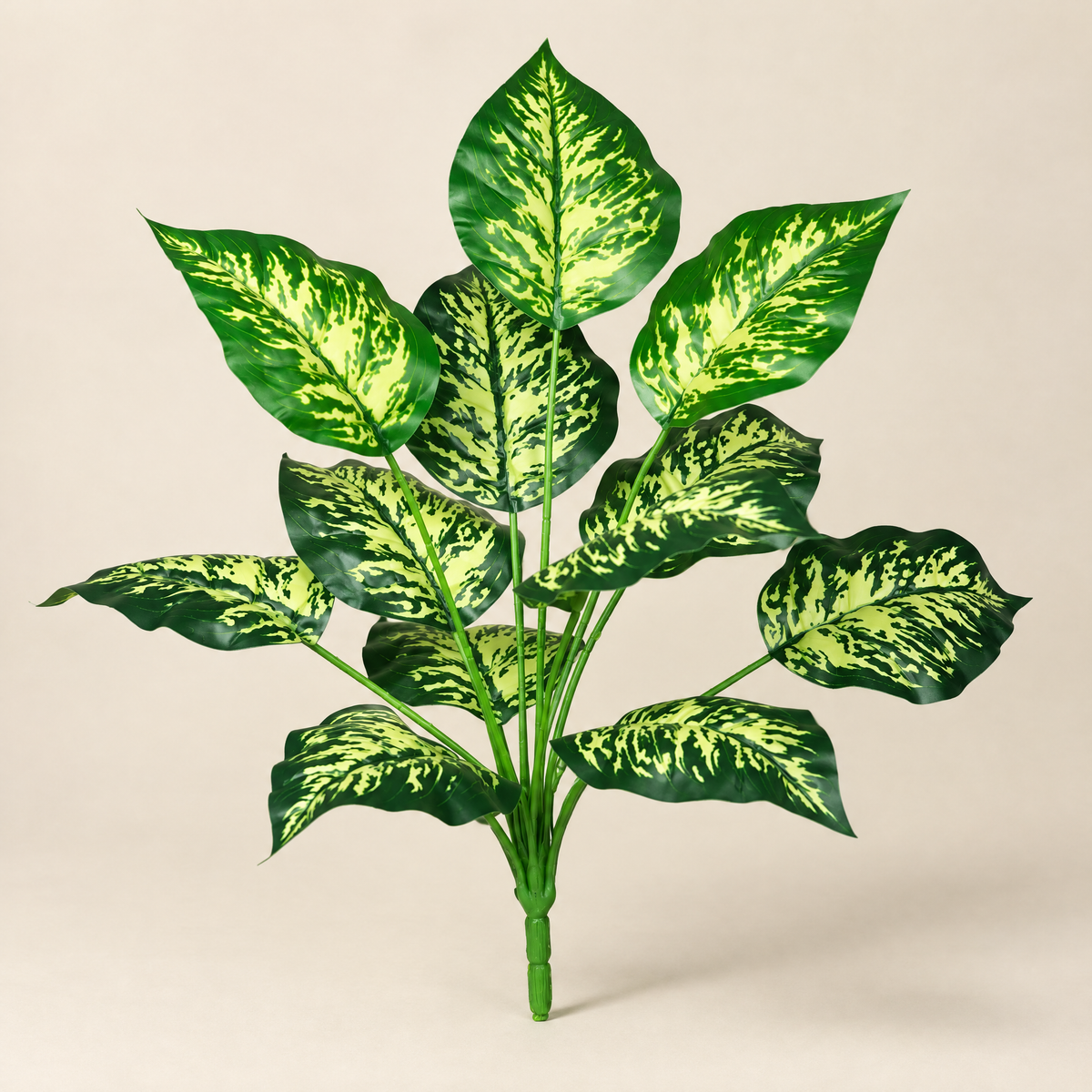 Leaf Plant Dominika – studio view