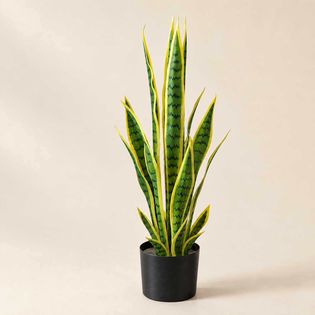 Faux Snake Plant Erika – snake plant in black pot, studio shot