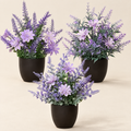 Lavender Flóra – studio shot on a soft oat backdrop