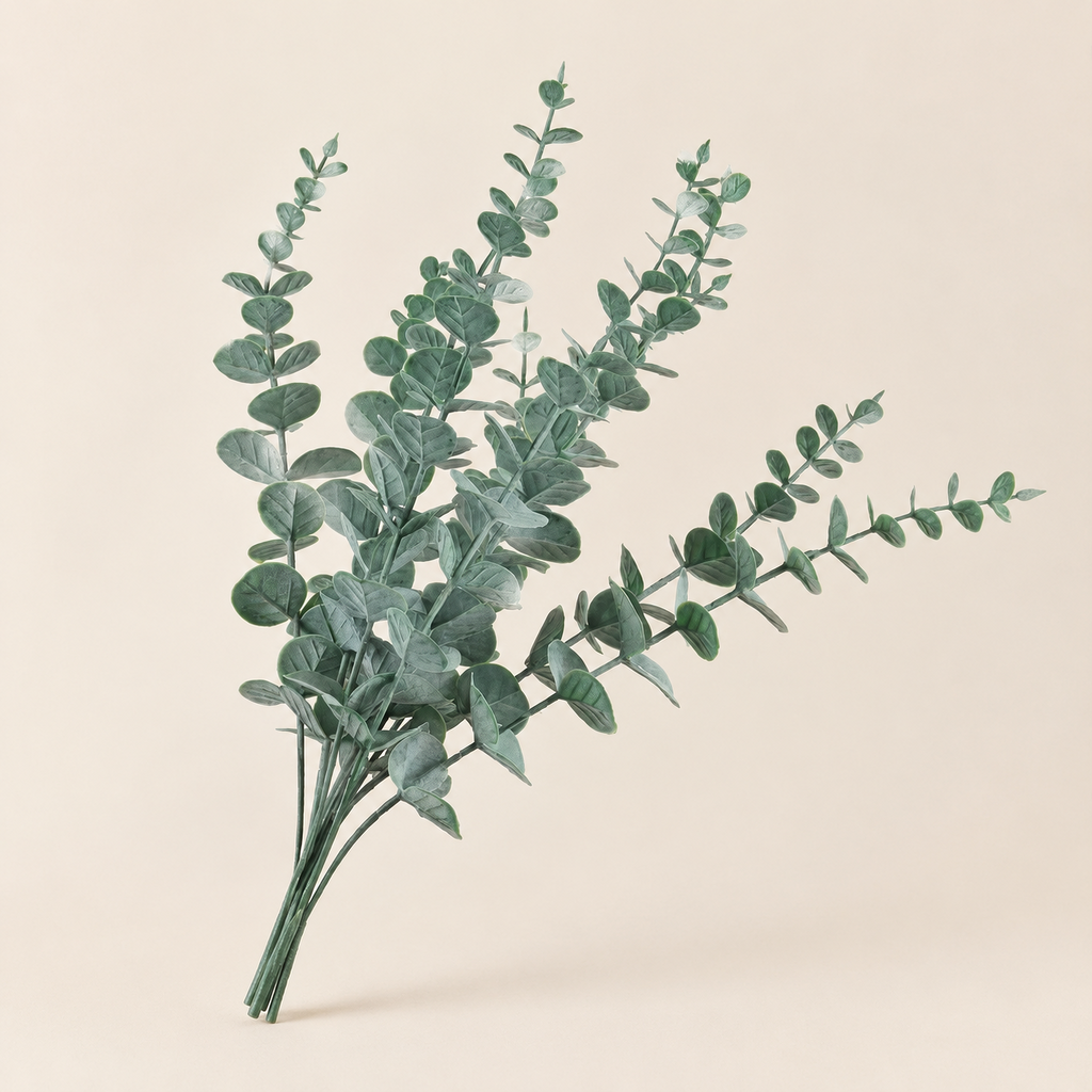 Eucalyptus Stems Nadežda – studio shot on a soft oat backdrop