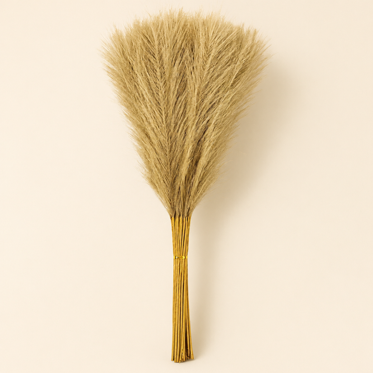 Pampas Grass Stems Vanesa – taupe pampas grass stems