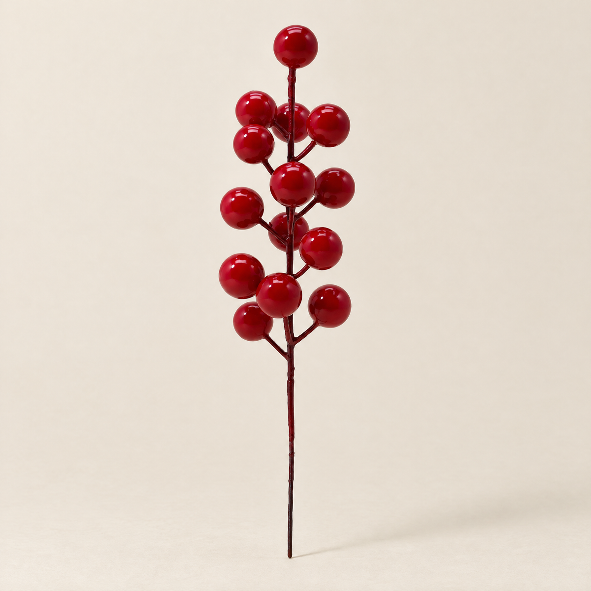 Berry Stems Ernest – studio shot on a soft oat backdrop