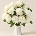 Chrysanthemum Stems Matilda – studio shot on a soft oat backdrop