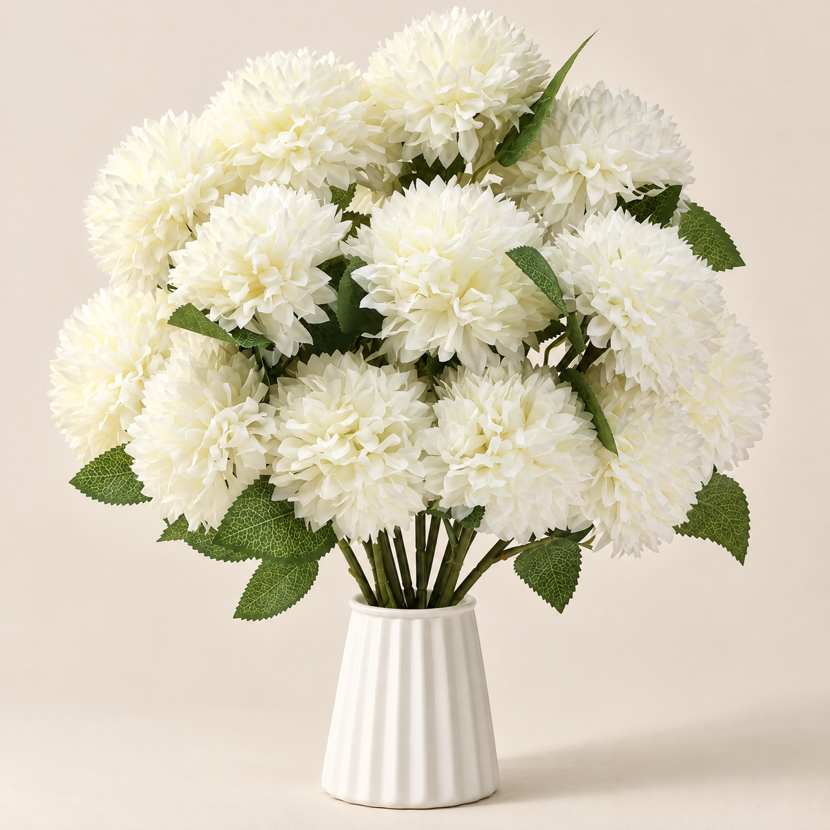 Chrysanthemum Stems Matilda – studio shot on a soft oat backdrop