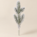 Flocked Pine Picks Alexej – studio shot on a soft oat backdrop