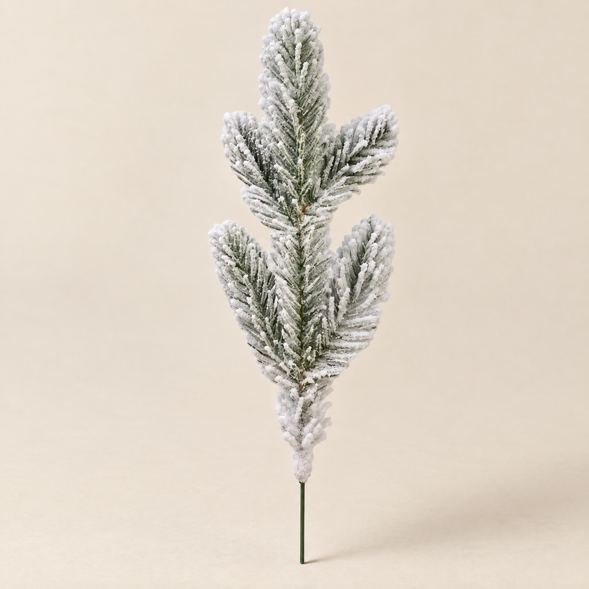 Flocked Pine Picks Alexej – studio shot on a soft oat backdrop