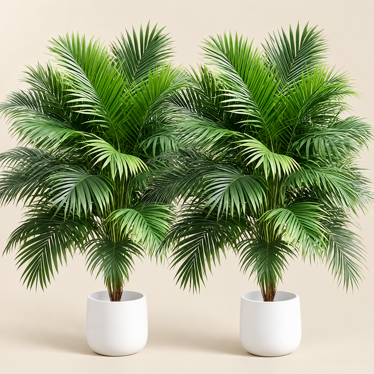 Artificial Palm Pair Alica – studio shot on a soft oat backdrop