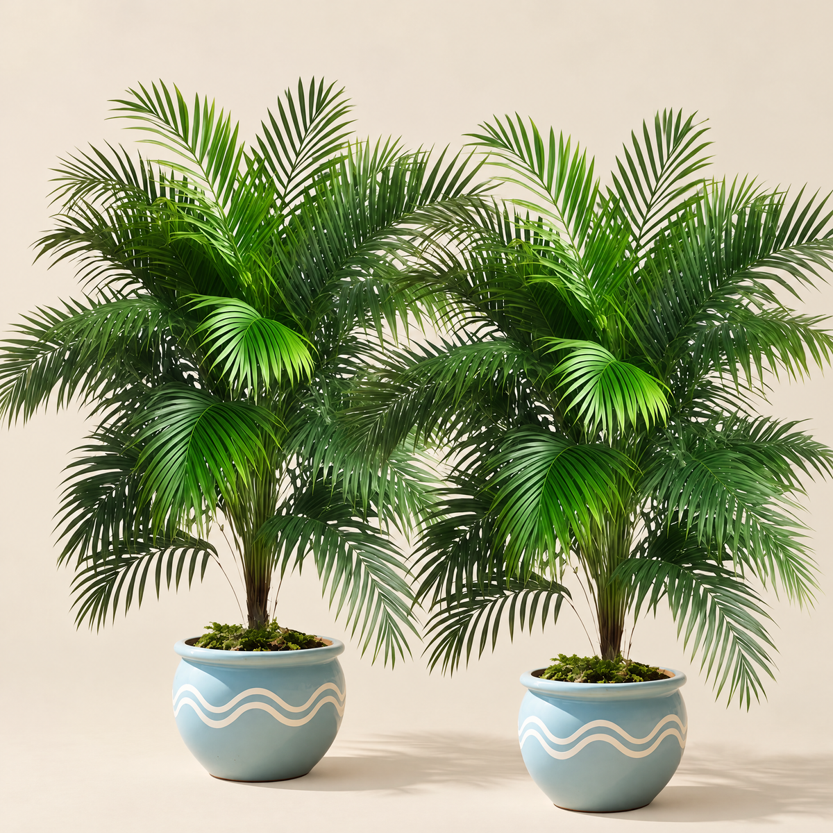 Artificial Palm Pair Alica – studio shot on a soft oat backdrop