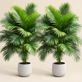 Artificial Palm Pair Alica – studio shot on a soft oat backdrop