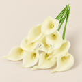 Calla Lily Stems Margita – Cream studio view