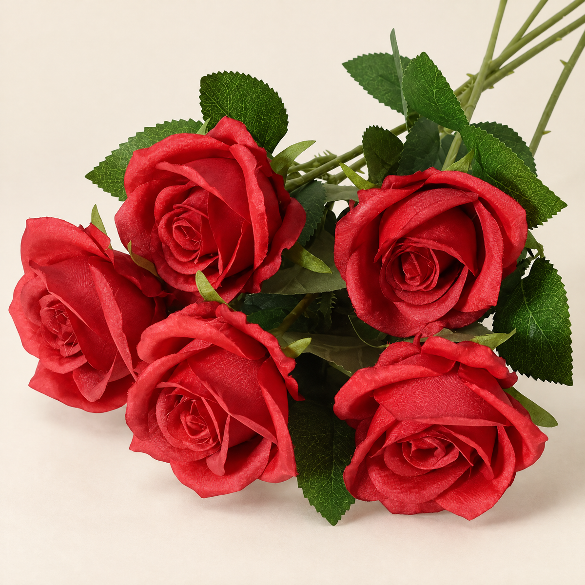 Velvet Roses Magdaléna – Bright Red studio view