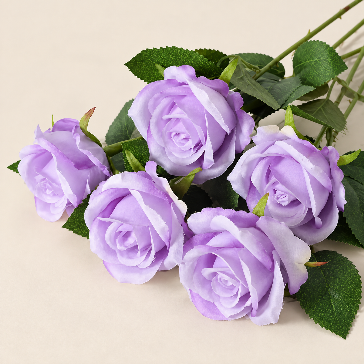 Velvet Roses Magdaléna – Lavender studio view