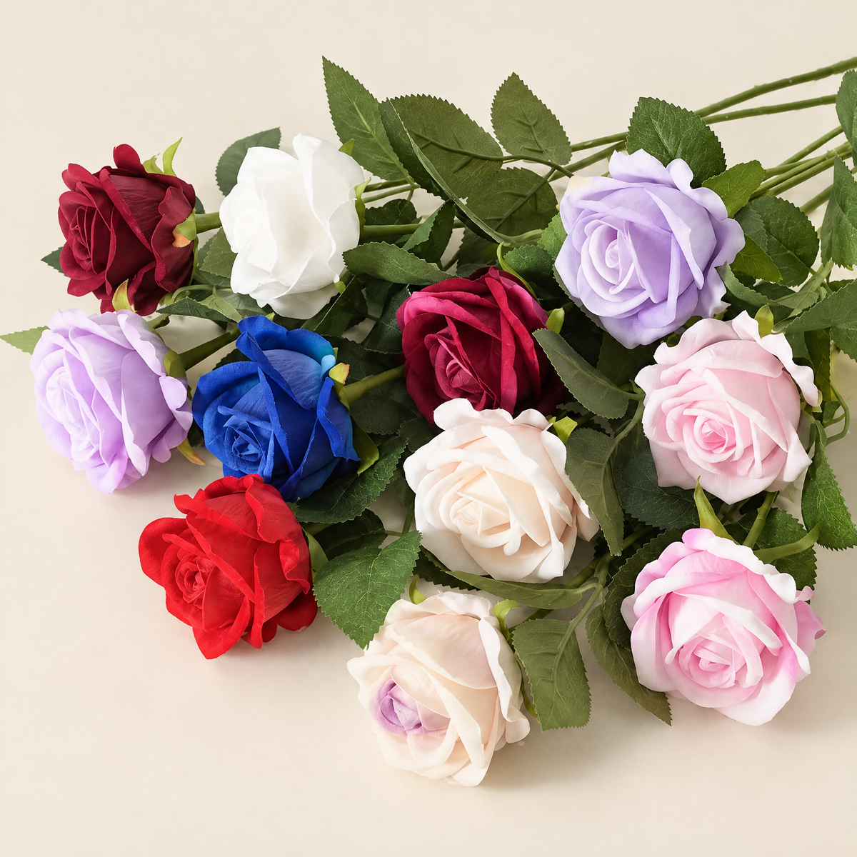 Velvet Roses Magdaléna – Mixed Colours studio view