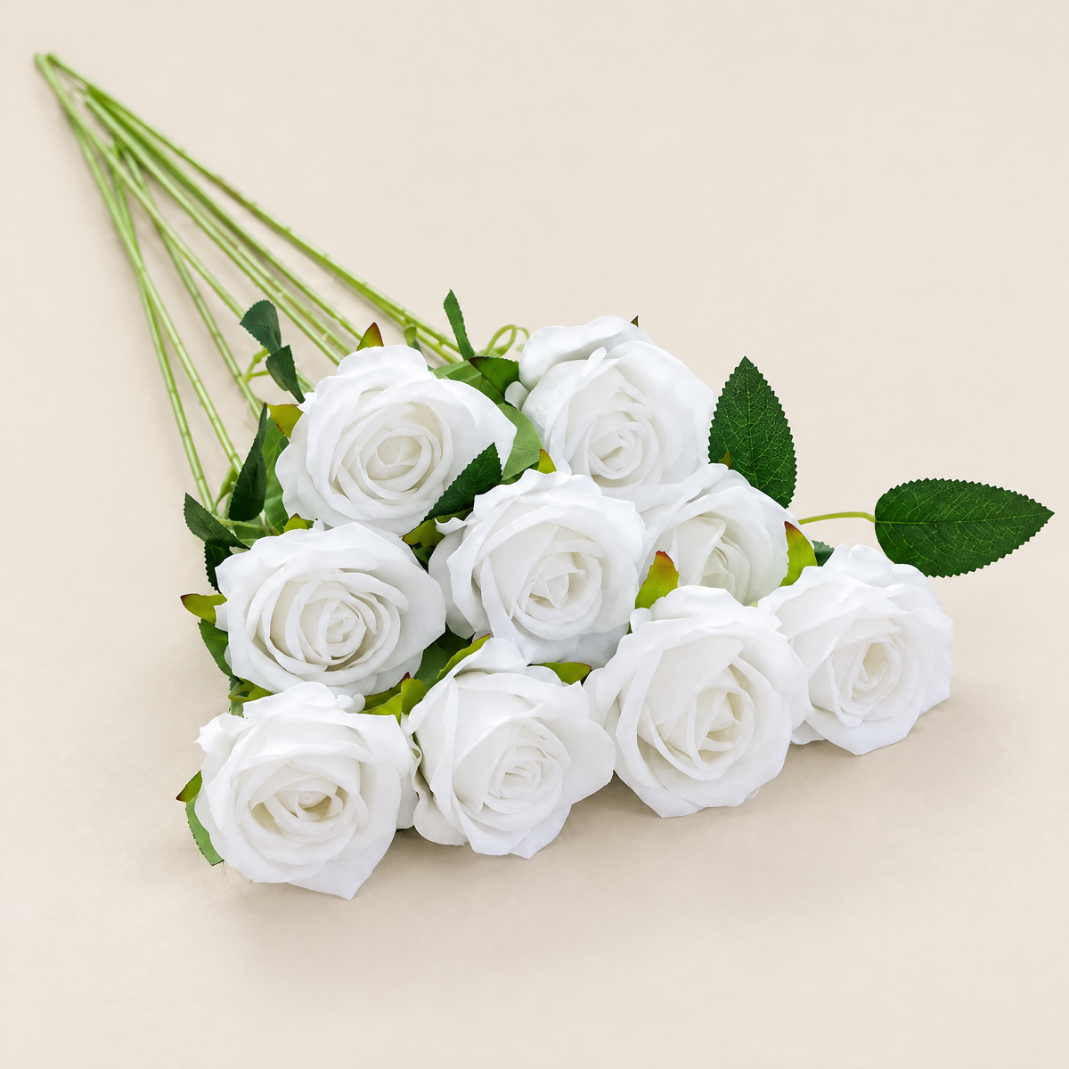 Velvet Roses Magdaléna – White studio view