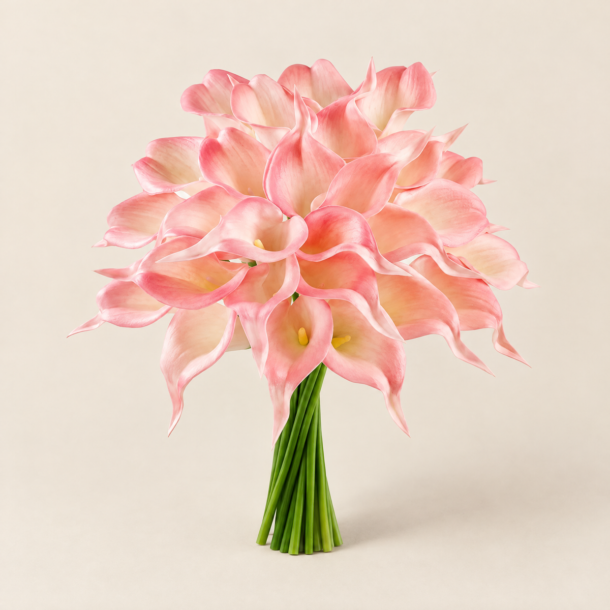 Calla Lily Stems Ľubomíra – Blush Pink studio view