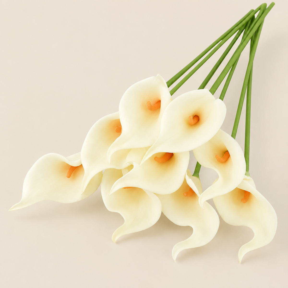 Calla Lily Stems Margita – Cream with Peach Heart studio view