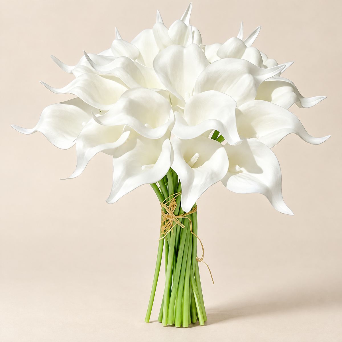 Calla Lily Stems Ľubomíra – Pure White studio view