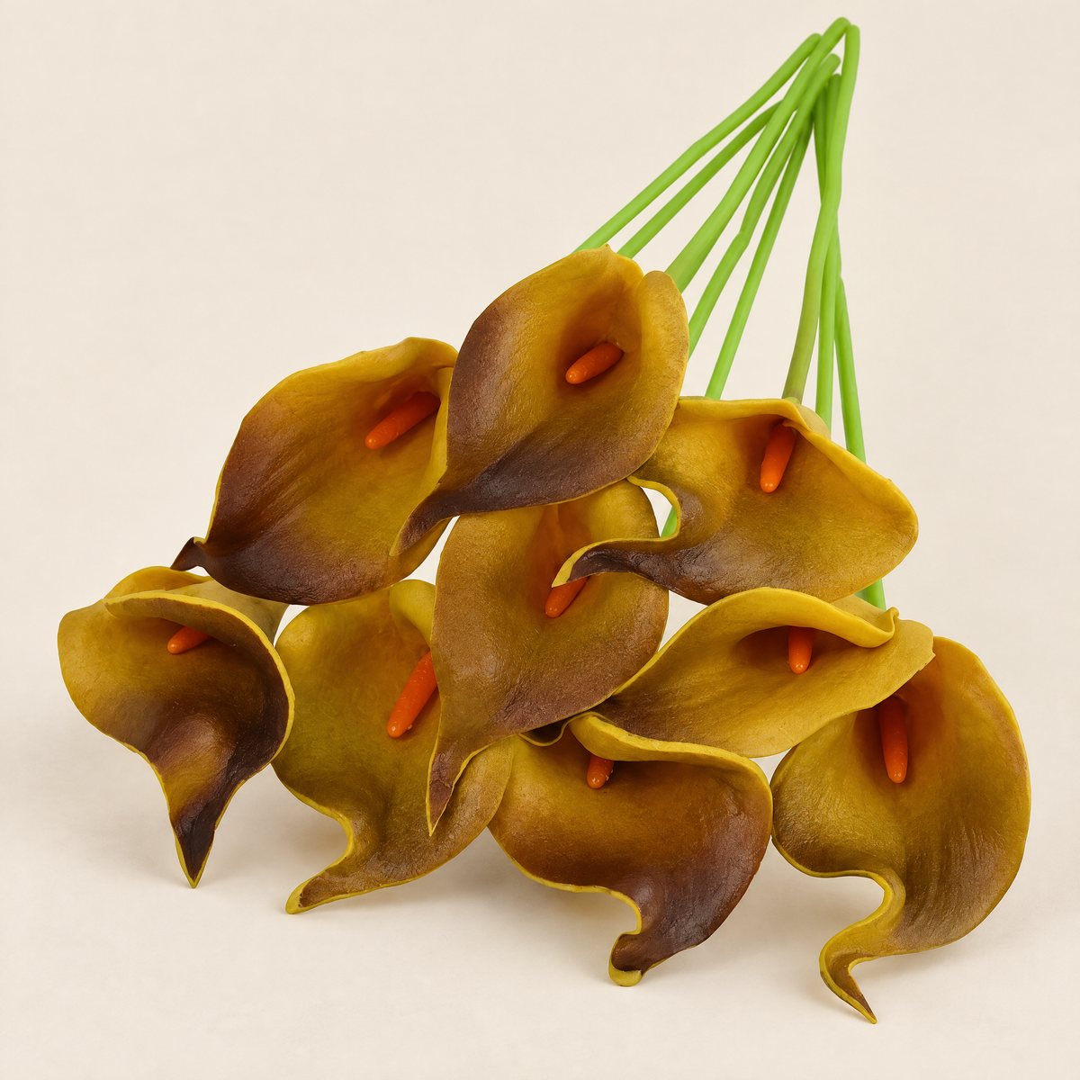 Calla Lily Stems Margita – Brown studio view