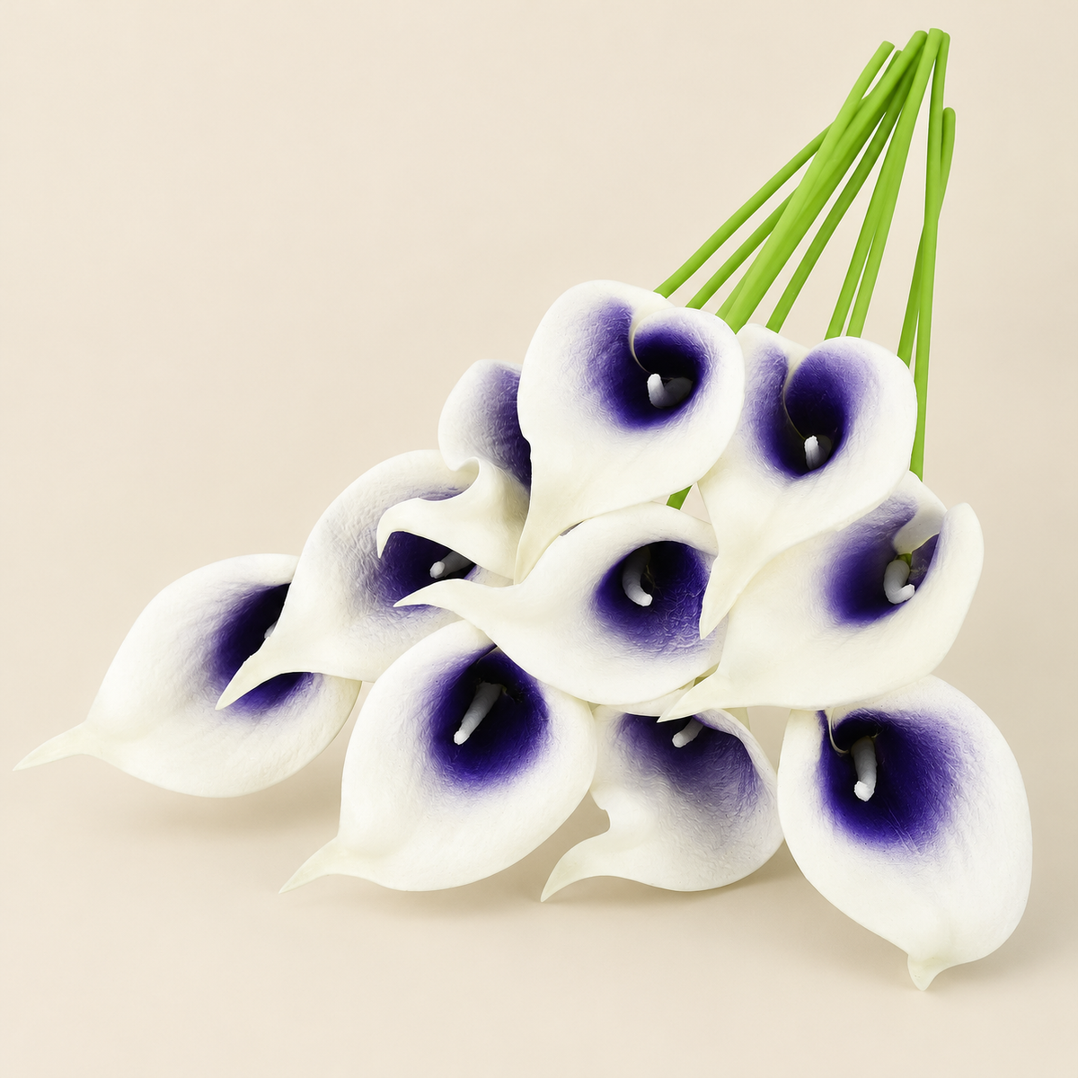 Calla Lily Stems Margita – White with Purple Heart studio view