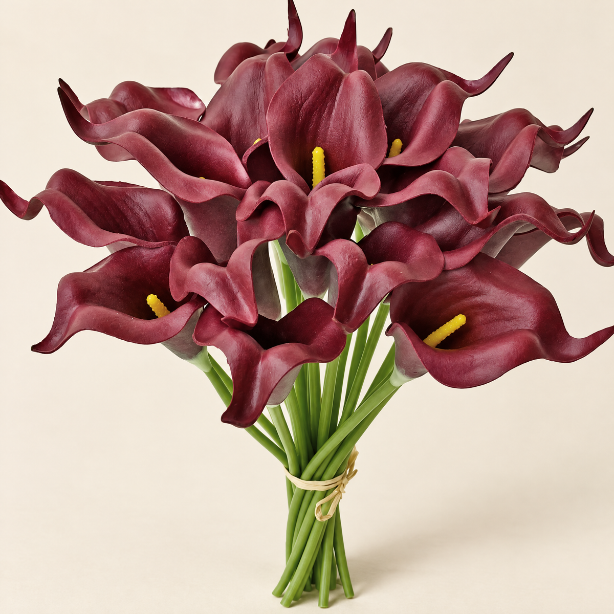 Calla Lily Stems Ľubomíra – Wine Red studio view