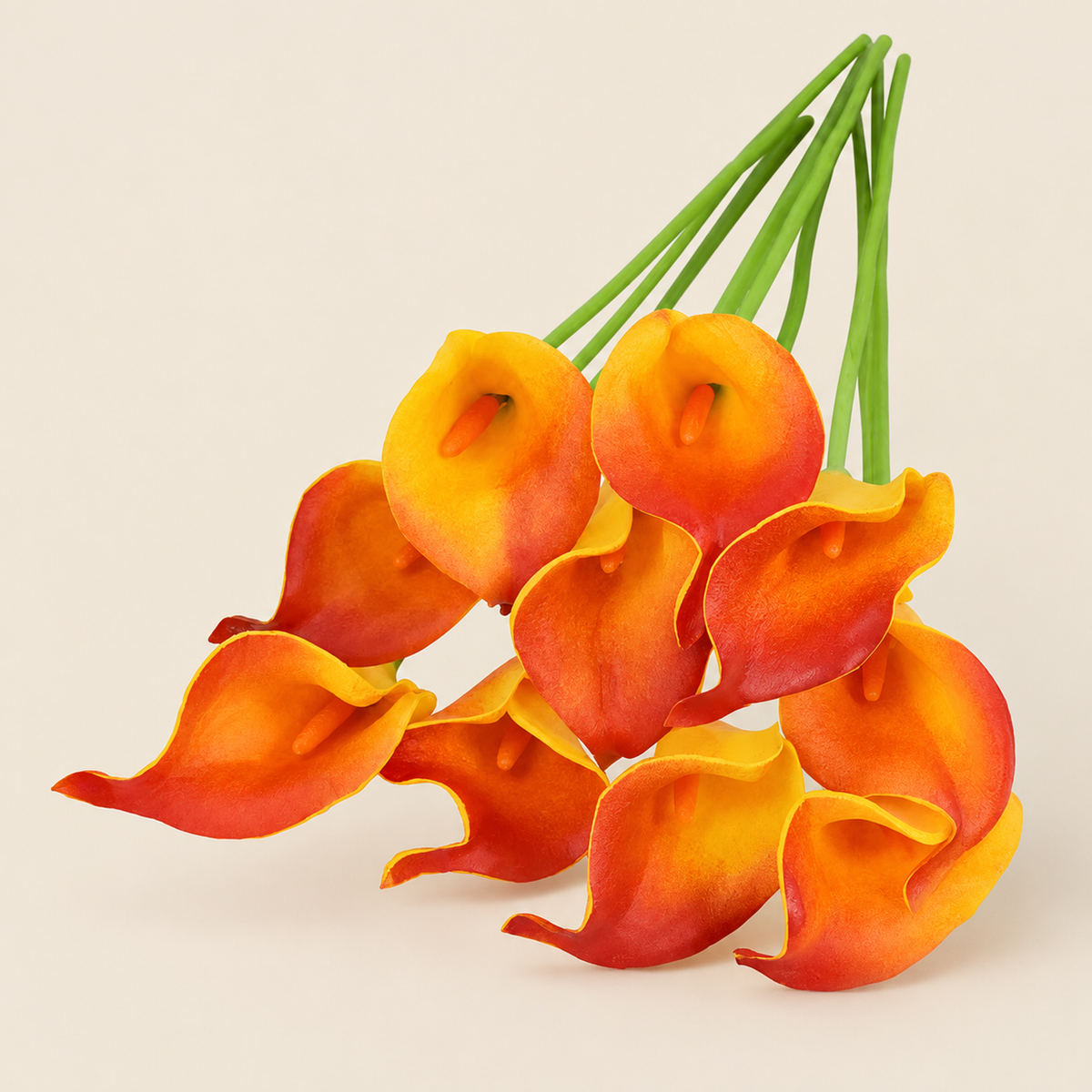 Calla Lily Stems Margita – Orange studio view