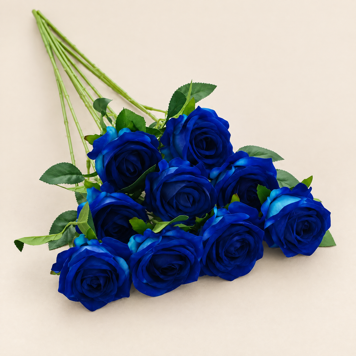 Velvet Roses Magdaléna – Royal Blue studio view