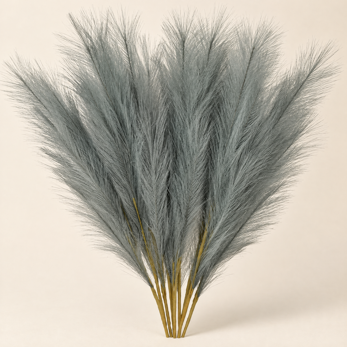 Pampas Grass Regína – Grey studio view