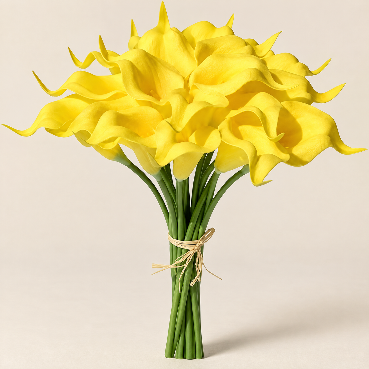 Calla Lily Stems Ľubomíra – Yellow studio view
