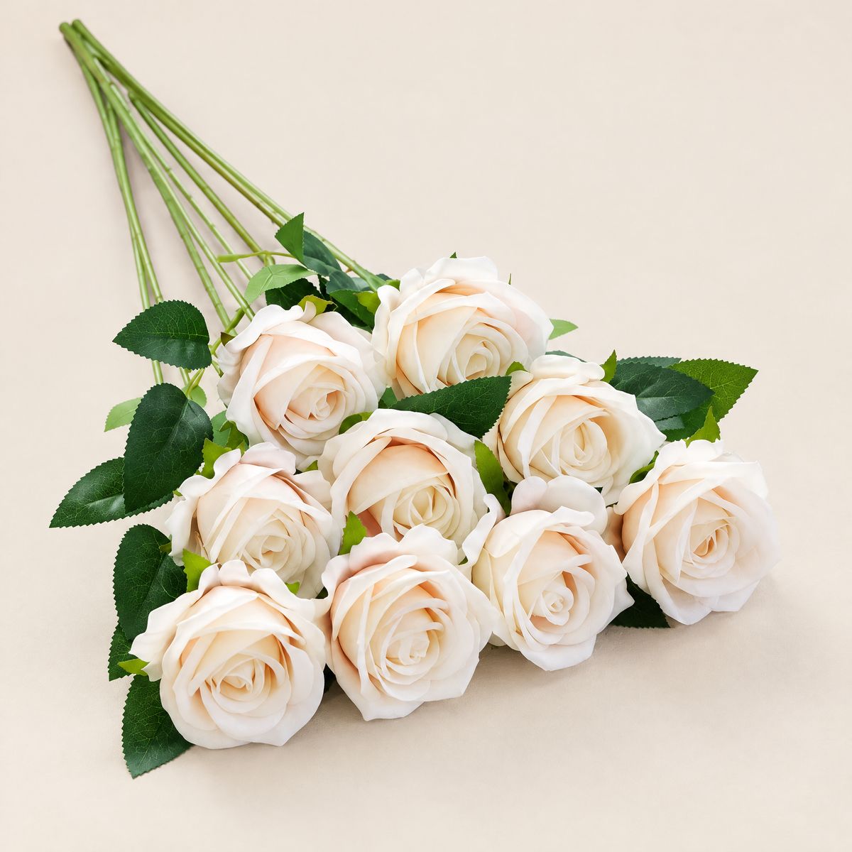Velvet Roses Magdaléna – Cream studio view