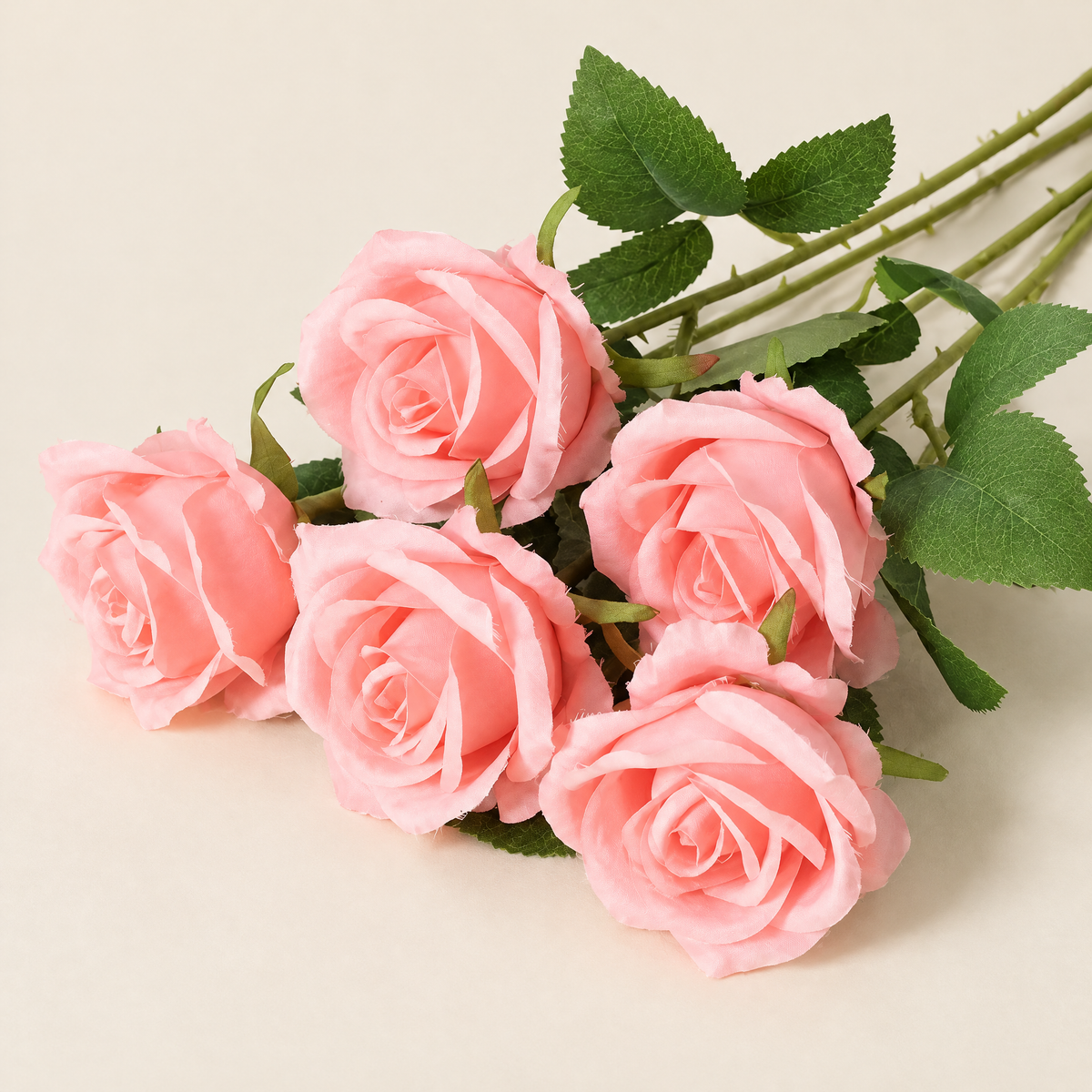 Velvet Roses Magdaléna – Coral studio view