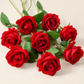 Velvet Roses Magdaléna – Red studio view