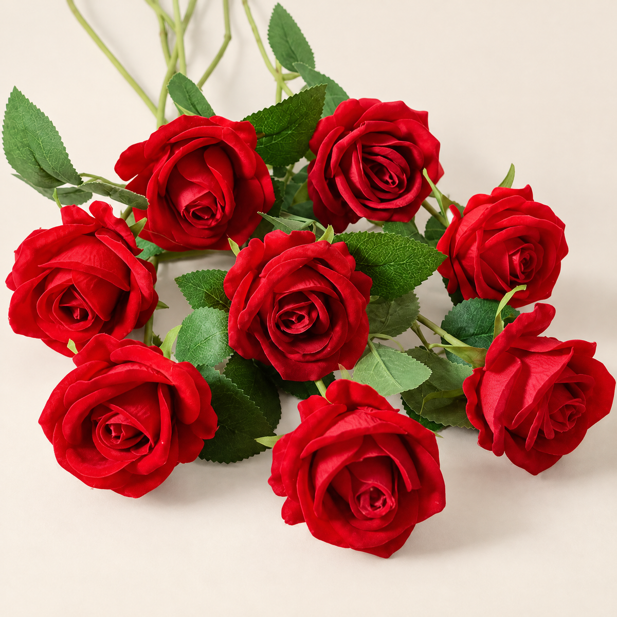 Velvet Roses Magdaléna – Red studio view