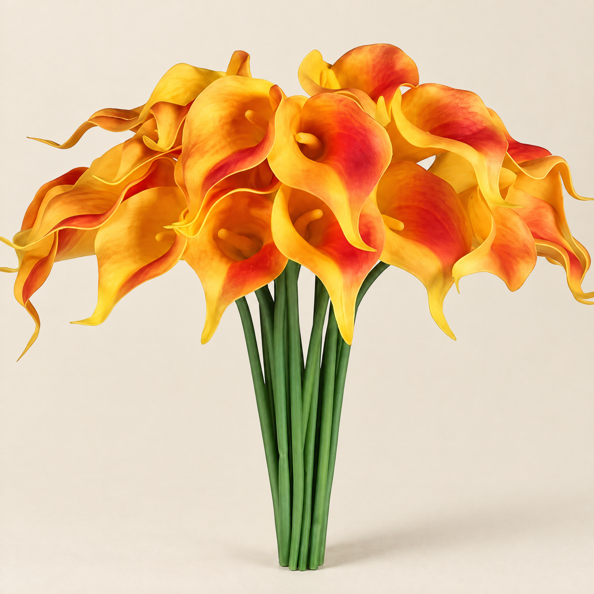 Calla Lily Stems Ľubomíra – Orange Sunset studio view