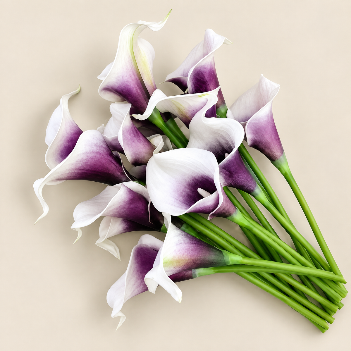 Calla Lily Stems Ľubomíra – White with Purple Heart studio view