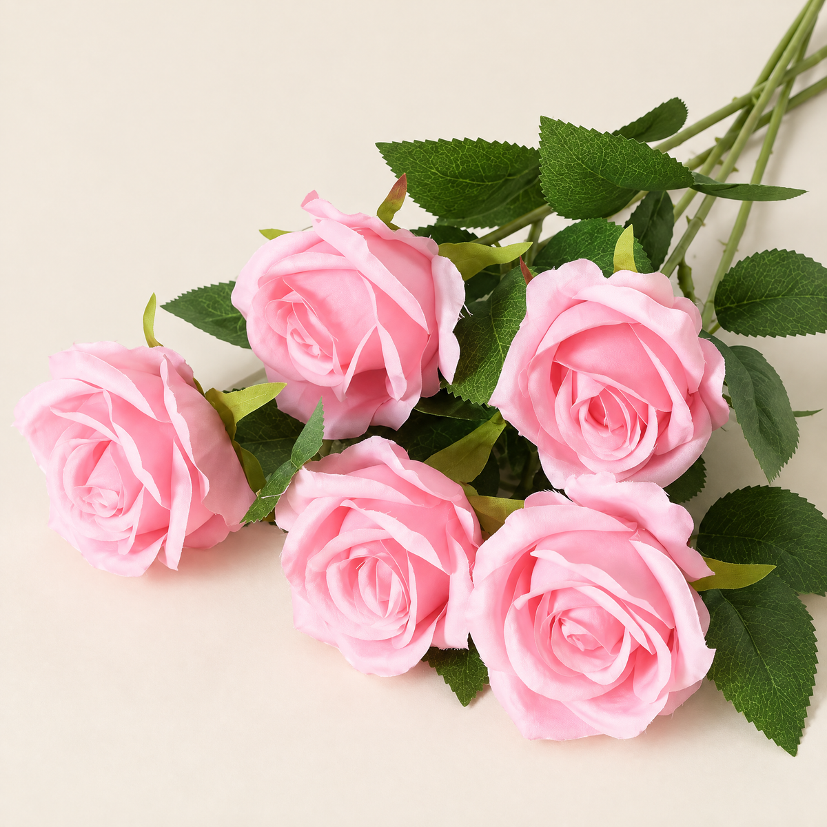 Velvet Roses Magdaléna – Pink studio view