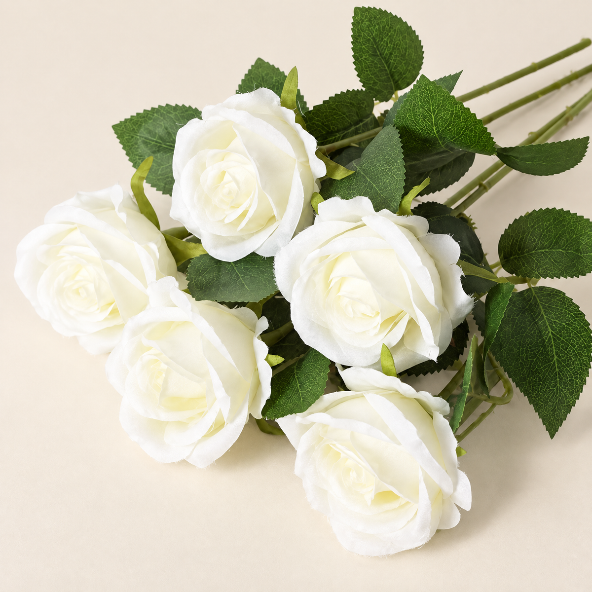 Velvet Roses Magdaléna – Ivory studio view