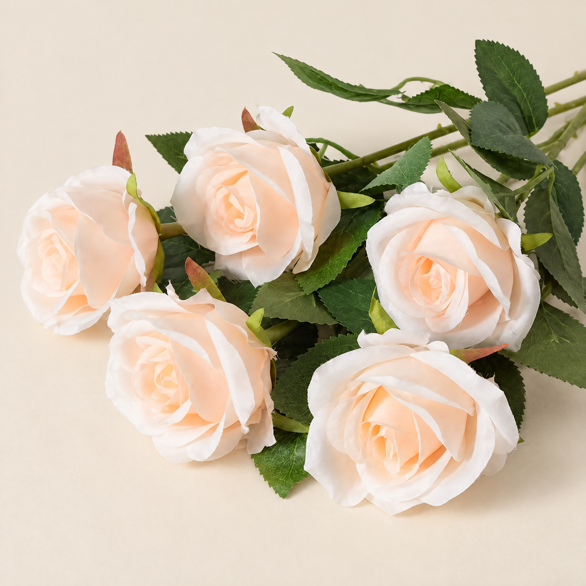 Velvet Roses Magdaléna – Peach Champagne studio view