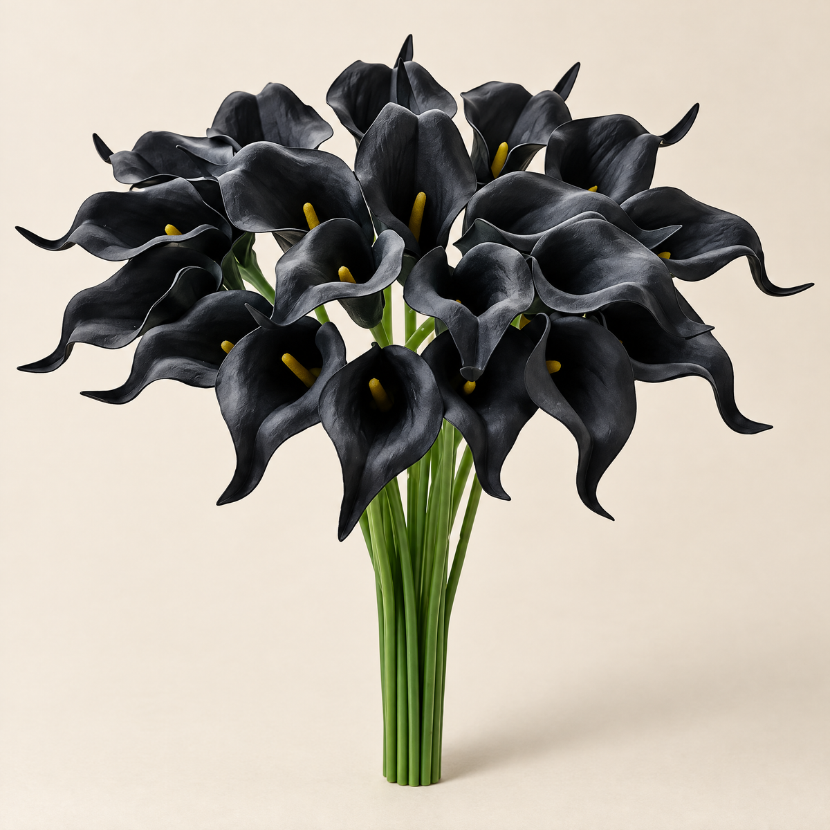 Calla Lily Stems Ľubomíra – Black studio view